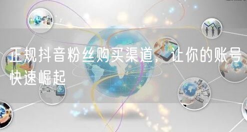 正规抖音粉丝购买渠道，让你的账号快速崛起