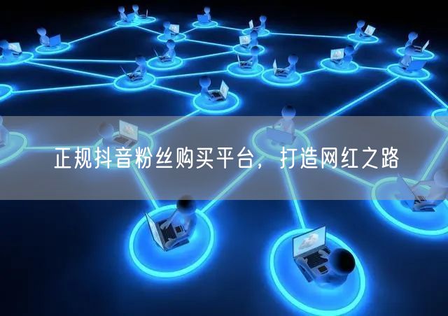 正规抖音粉丝购买平台，打造网红之路