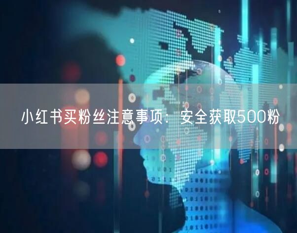 小红书买粉丝注意事项：安全获取500粉