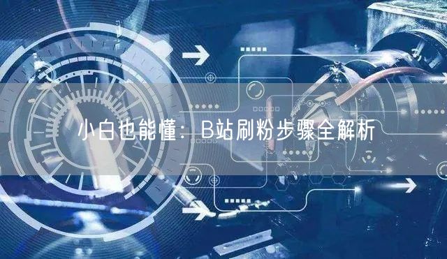 小白也能懂：B站刷粉步骤全解析